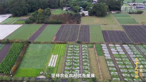 壮大集体经济 成都温江奏响乡村振兴“奋进曲” 专题报道 中国共产党新闻网