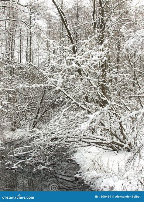 Winter Landscape after Blizzard Stock Image - Image of forest, mystical ...