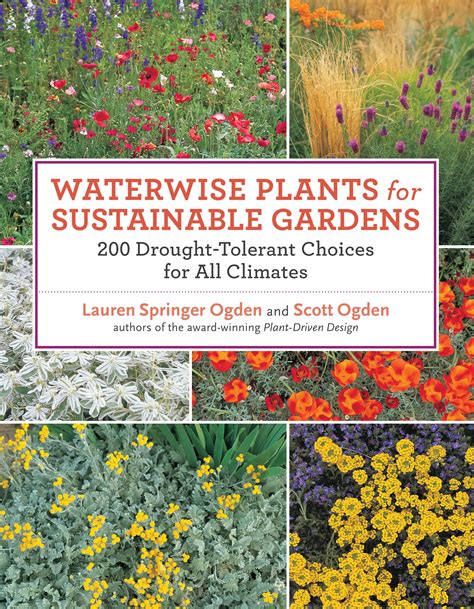 Waterwise Plants For Sustainable Gardens Water Wise Plants Garden