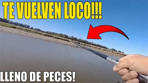 Este Lugar Esta Lleno De Pescados Lugar Gratis Pesca En Arroyo