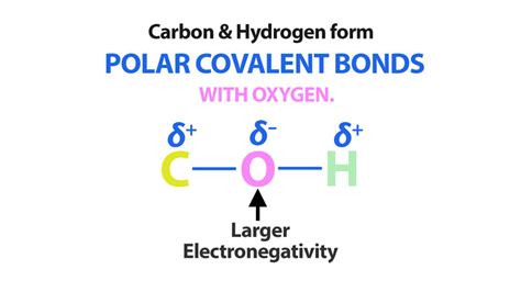 Polar Covalent Bonds Clearly Explained For Easy Learning