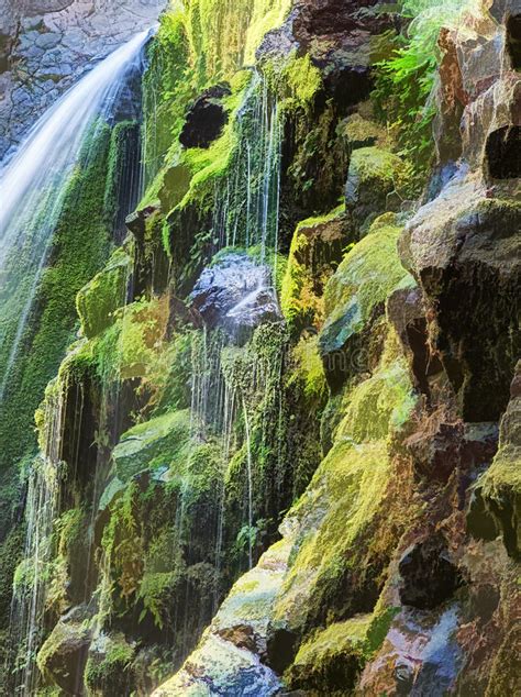 Cascadas Y Rocas Cubiertas De Musgo Foto De Archivo Imagen De Salvaje