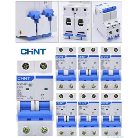 CHINT Electric Circuit Breaker NXB C63 2P High Current NXB 125 2P