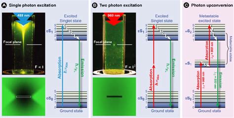 Comparison Of The Excitation Profiles Of A Single Photon B Two Download Scientific Diagram