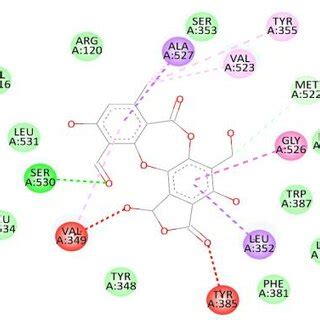 Visualization Of Molecular Interactions Between Ligands And Receptors