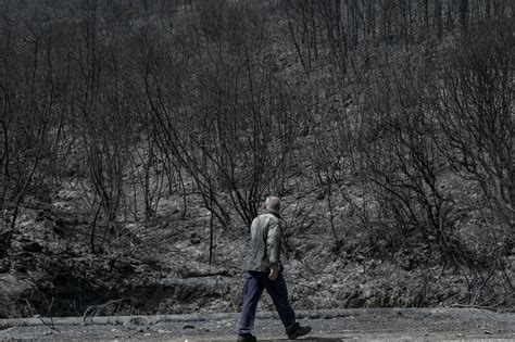 New fires in heat-hit Greece force evacuations