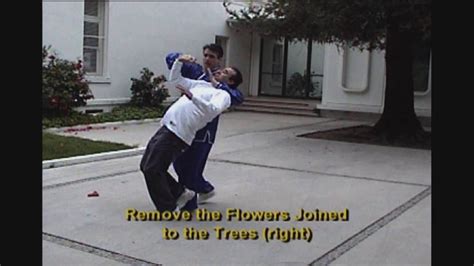 Baguazhang Form & Application, "Remove the Flowers Joined to the Trees" - YouTube