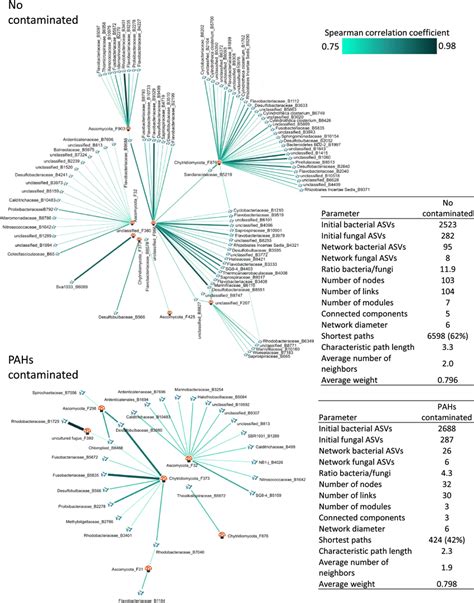 Fungal Bacteria Co Occurrence Networks In Microbial Community From