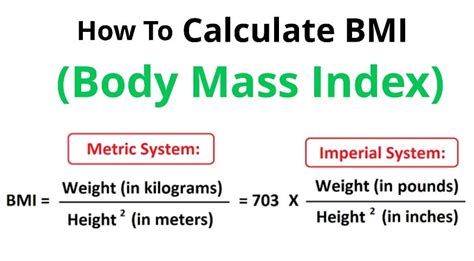 Body Mass Index Bmi Calculator