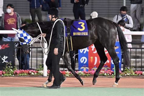 浦和競馬 On Twitter 大井11rで行われた大井記念siは､大井のセイカメテオポリスが差し切り勝ち🥇 浦和から参戦したカイルは