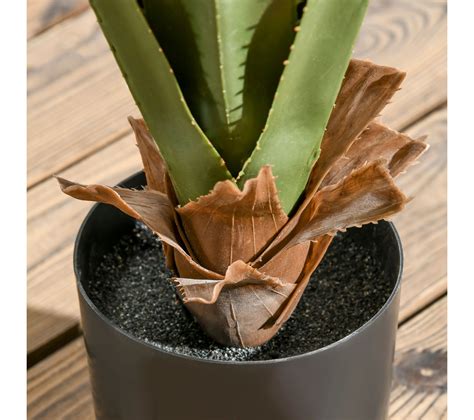 Plante Artificielle Agave H Cm Feuilles Pot Inclus Plante