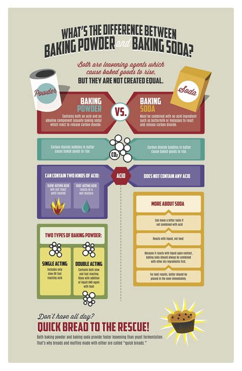 The Difference Between Baking Powder And Baking Soda In One Simple Chart Huffpost