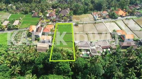 Dijual Tanah Tirta Tawar Ubud View Sawah Los Sungai Lingkungan Villa