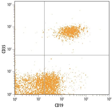 human cd antibody mab  systems