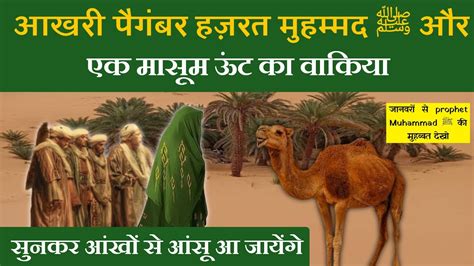 हज़रत मुहम्मद ﷺ और मासूम ऊंट का वाकिया Prophet Muhammad ﷺ And Camel Waqia Youtube