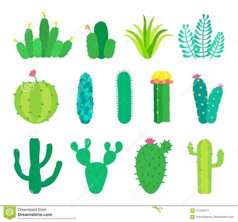 Grupo Do Vetor De Cactos E De Plantas Carnudas Ilustra O Do Vetor