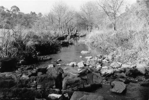 Darebin Parklands & Creek History | Darebin Creek Management Committee