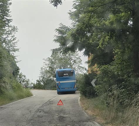 Cade in bicicletta e finisce sotto lautobus è grave Gazzetta di Modena