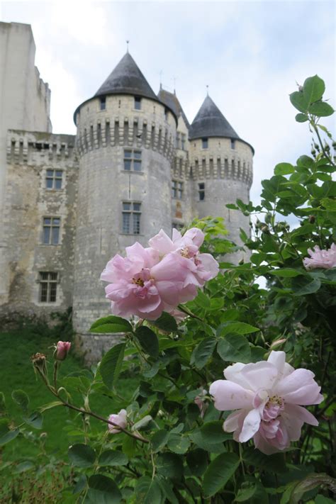 Le Château des comtes du Perche à Nogent le Rotrou Avis et photos d