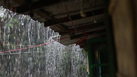 Heavy Tin Roof Rainstorm Rain Sounds 10 Hours Heavy Rainfall On