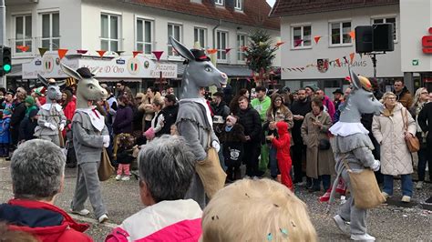 Großes Narrentreffen in Schwörstadt 04 02 2024 YouTube