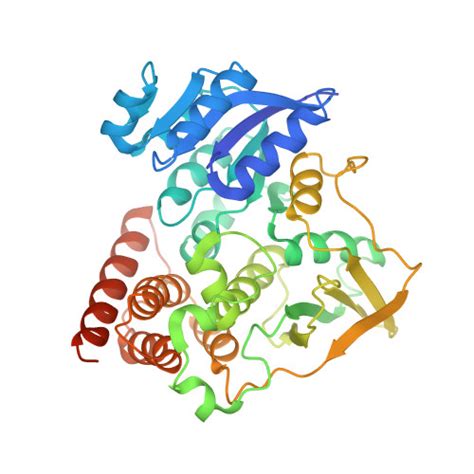 RCSB PDB 2C82 X Ray Structure Of 1 Deoxy D Xylulose 5 Phosphate