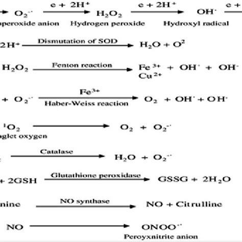 Chemical Reactions Involved In The Formation Of Reactive Oxygen Species