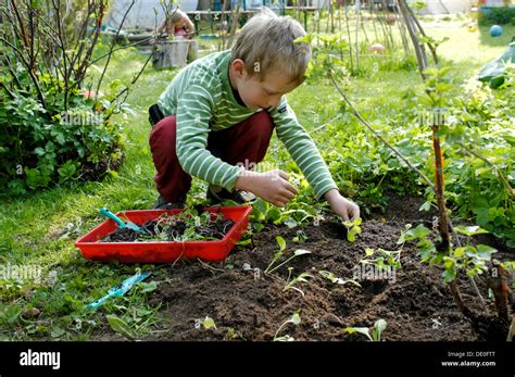 Chico 7 Sembrando Diminutas Plantas En Un Lecho De Flores En Un