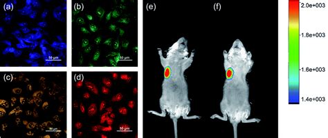 Solvent Controlled Synthesis Of Multicolor Photoluminescent Carbon Dots