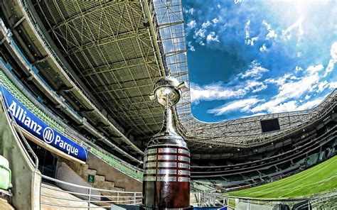 Palmeiras Stadium Allianz Parque Summer Aerial View Artwork Soccer