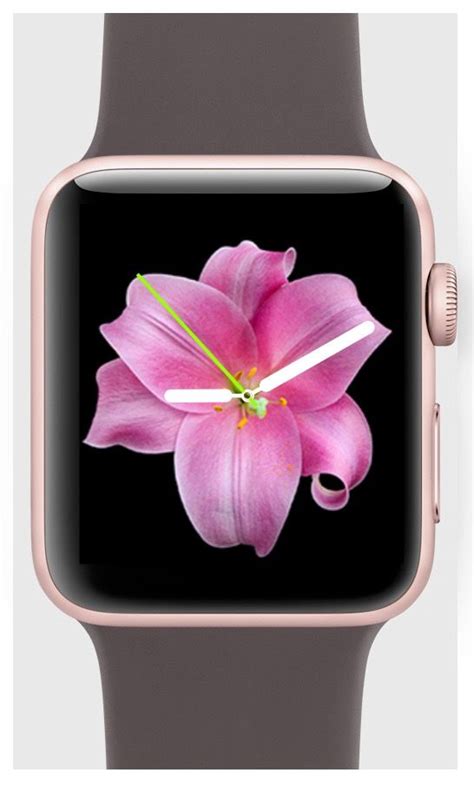 Apple Watch Flower Dial Faces Developer Flower Watch Apple Watch Apple Watch Faces