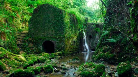 UNESCO designates 11 new biosphere reserves in 11 countries: See list