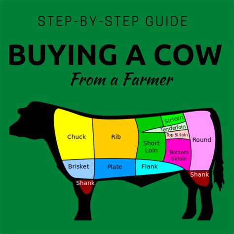 Buying A Cow From A Farmer Is It Worth It Clover Meadows Beef Grass Fed