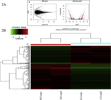 A Ma Plot And Volcano Plot Represents The Differential Expressed