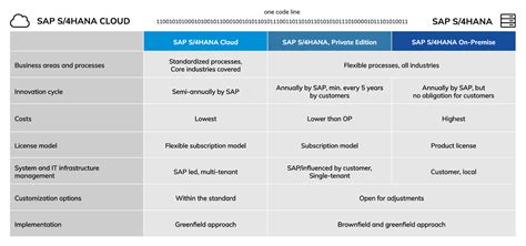 SAP S 4HANA Deployment Options