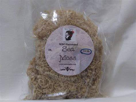 Wild Harvested Irish Sea Moss Etsy