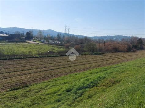 Terreno Agricolo Via Del Chese Scandicci Rif Immobiliare It