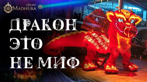 ШОУ ДРАКОНА НА ПРАЗДНИК - YouTube