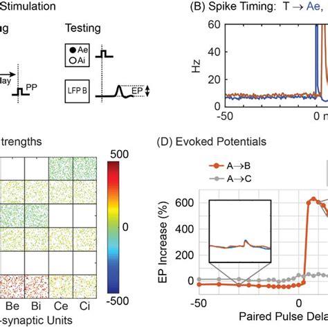 Paired Pulse Stimulation A Pairs Of Pulses Delivered Sequentially To