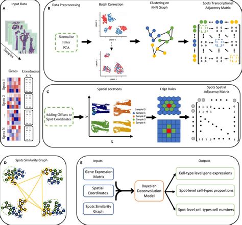 MUSTANG Multi Sample Spatial Transcriptomics Data Analysis With Cross