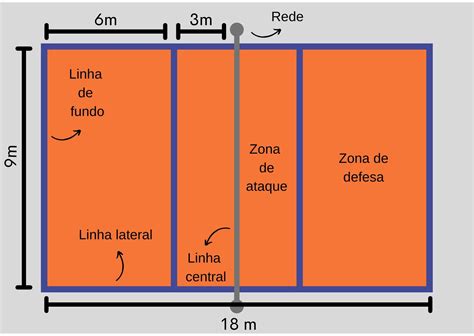 Posições Do Volei E Suas Funções ROAREDU