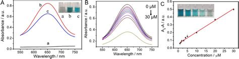 (A) Absorption spectra of reaction solutions in the presence of TMB ...