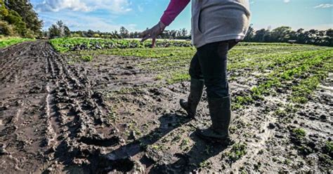 Pequeños productores piden crear una mesa de crisis de la agricultura