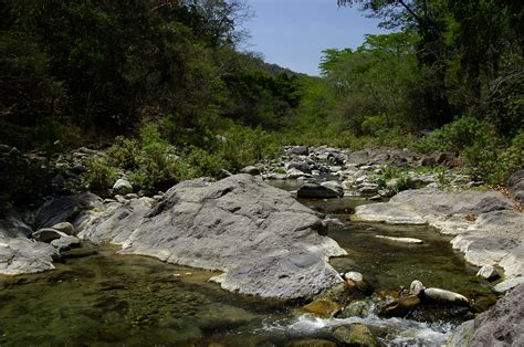 Aniversario De La Reserva De La Biosfera Sierra De Manantl N