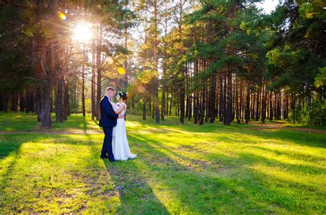 Quel arbre offrir pour un mariage Soirée Blanche