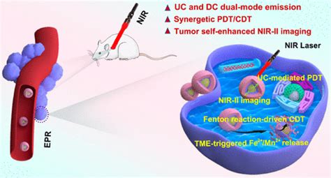 Fe Mn Bimetal Doped Zif 8 Coated Luminescent Nanoparticles With Up Downconversion Dual Mode