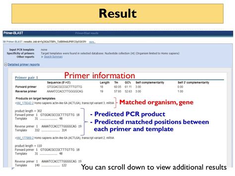 How to use primer blast for checking primer specificity