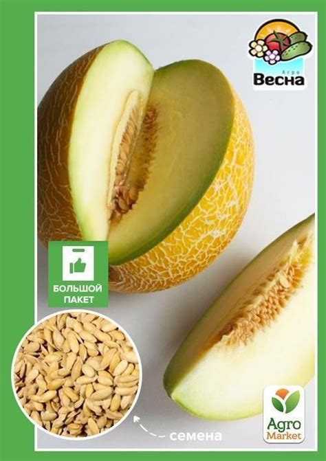 Дыня "Леся" (Большой пакет) ТМ "Весна" 4г купить почтой в Одессе, Киеве ...