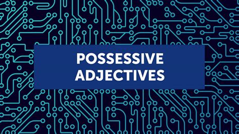 Possessive Adjectives Con Ejemplos Y Ejercicios