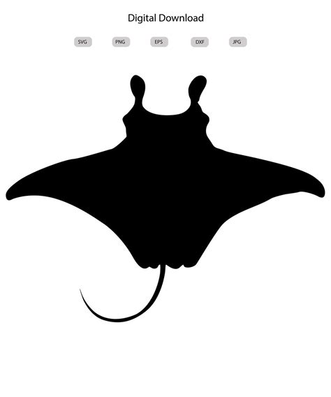 Manta Ray Svg Manta Ray Silhouette Manta Ray Svg Bundle Manta Ray Cut